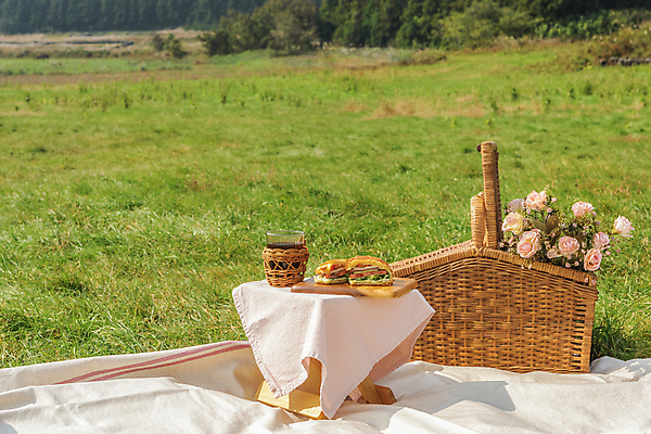 포토 JPG 주간 꽃 커피 휴가 휴식 잔 샌드위치 풍경 초원 사람없음 야외 제주도 소풍 천 돗자리 감성 피크닉용품 조화 나무도마 소풍바구니 컵홀더 국내포토 자연요소 식물 식기 음료 음식 컨셉 도마 한국 목재 야외활동 바구니 직물 홀더 파일형식