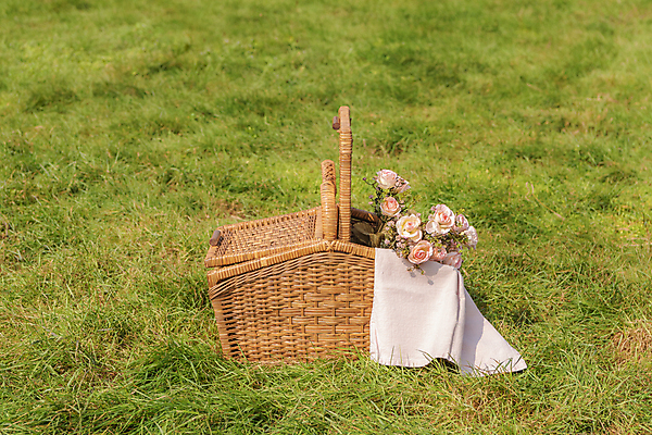 포토 JPG 주간 꽃 휴가 휴식 풍경 초원 사람없음 야외 제주도 소풍 천 꽃바구니 감성 피크닉용품 조화 소풍바구니 국내포토 자연요소 식물 컨셉 한국 야외활동 바구니 직물 파일형식