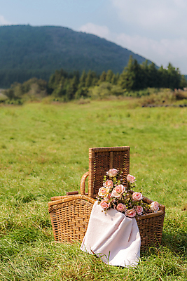 포토 JPG 주간 꽃 하늘 휴가 휴식 산 풍경 초원 사람없음 야외 제주도 소풍 천 꽃바구니 감성 피크닉용품 조화 소풍바구니 국내포토 자연요소 식물 컨셉 한국 야외활동 바구니 직물 파일형식