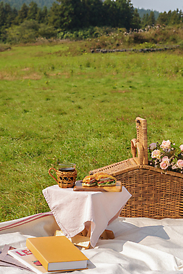 포토 JPG 주간 꽃 커피 휴가 휴식 잔 샌드위치 풍경 초원 사람없음 야외 책 제주도 소풍 천 돗자리 감성 피크닉용품 조화 나무도마 소풍바구니 컵홀더 국내포토 자연요소 식물 식기 음료 음식 컨셉 도마 한국 목재 야외활동 바구니 직물 홀더 파일형식