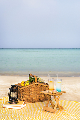 포토 JPG 주간 하늘 휴가 휴식 풍경 해변 사람없음 야외 책 모래사장 제주도 소풍 튤립 랜턴 돗자리 감성 피크닉용품 조화 마카롱 나무탁자 소풍바구니 오렌지에이드 블루레몬에이드 국내포토 자연요소 꽃 바다 컨셉 탁자 디저트 조명 한국 야외활동 바구니 에이드 파일형식
