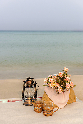 포토 JPG 주간 꽃 하늘 휴가 휴식 잔 풍경 해변 사람없음 야외 모래사장 제주도 소풍 랜턴 천 돗자리 감성 피크닉용품 조화 소풍바구니 컵홀더 국내포토 자연요소 식물 식기 바다 컨셉 조명 한국 야외활동 바구니 직물 홀더 파일형식