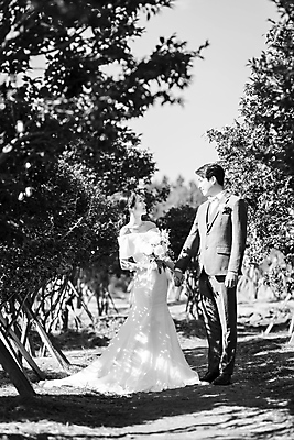 포토 JPG 주간 전신 응시 여자 남자 부케 결혼 흑백 그림자 사랑 서기 미소 들기 20대 성인 야외 두명 앞모습 옆모습 30대 제주도 마주보기 손잡기 한국인 화단 동백 성인만 웨딩촬영 국내포토 자연요소 시선 꽃 감정 뷰포인트 꽃다발 모션 한국 촬영기법 표정 사람 동양인 이벤트 청년 장년 기념사진 파일형식