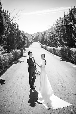 포토 JPG 주간 전신 응시 드레스 여자 남자 부케 웨딩드레스 결혼 하늘 흑백 사랑 미소 정장 턱시도 20대 성인 야외 두명 옆모습 30대 제주도 마주보기 손잡기 한국인 뒤돌아보기 나무길 신랑신부 성인만 웨딩촬영 국내포토 자연요소 시선 옷 감정 길 신부_웨딩 뷰포인트 꽃다발 신랑 모션 한국 촬영기법 표정 사람 동양인 이벤트 청년 장년 기념사진 파일형식