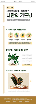 PSD 템플릿 ZIP 화분 웹템플릿 선인장 사람없음 흰색 원예 원예식물 뉴스레터 고무나무 베이지색 선인장화분 홈가드닝 반려식물 이미지템플릿 나무 식물 컬러 취미 파일형식