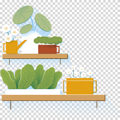 식물 편집 편집이미지 꽃 화분 채소 선반 누끼 사람없음 물뿌리개 연잎 PNG 편집소스 가구 잎 파일형식