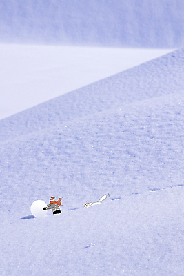 PSD 편집이미지 남자 반려견 어린이 겨울 포토일러 한명 소년 상반신 반려동물 설원 눈 강아지 즐거움 눈덩이 놀기 눈굴리기 소년한명만 겨울풍경 눈덮임 이미지편집 자연요소 동물 1 계절 감정 컨셉 모션 날씨 눈_날씨 사람 풍경 개 굴리기 남자한명만 소년만 파일형식