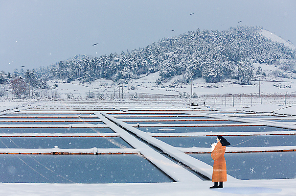 전신 PSD 편집이미지 한마리 여자 반려견 겨울 안기 포토일러 한명 서기 성인 반려동물 평화 산책 시골 눈 강아지 염전 눈내림 성인여자한명만 겨울풍경 눈덮임 이미지편집 자연요소 동물 1 계절 컨셉 모션 날씨 휴식 눈_날씨 사람 풍경 개 시설 여자한명만 성인여자만 파일형식