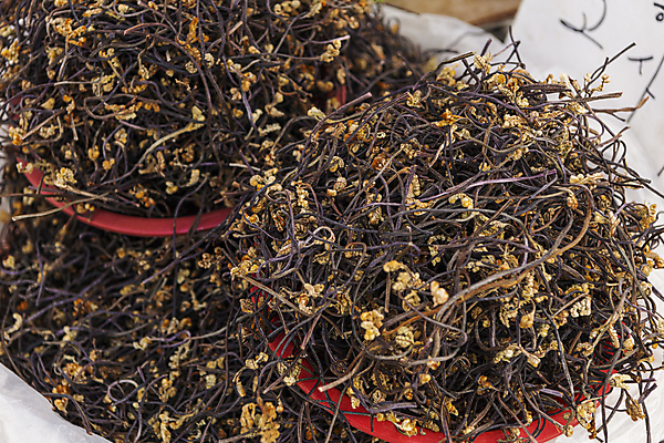 포토 JPG 주간 식재료 풍경 사람없음 야외 바구니 가득함 담기 재래시장 고사리 오일장 전통시장 모란시장 국내포토 자연요소 전통 채소 모션 시장 파일형식