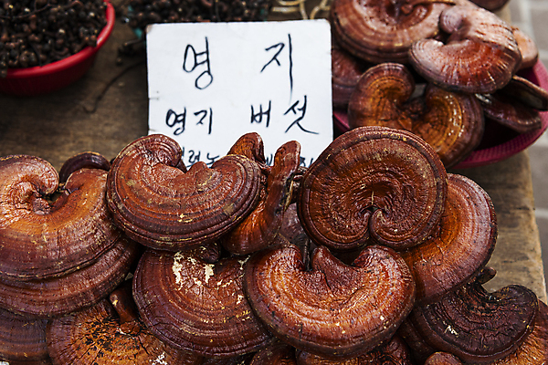 포토 JPG 주간 식재료 풍경 사람없음 야외 쌓기 팻말 가득함 재래시장 가판대 영지버섯 오일장 전통시장 모란시장 국내포토 자연요소 전통 모션 프레임 버섯 시장 파일형식