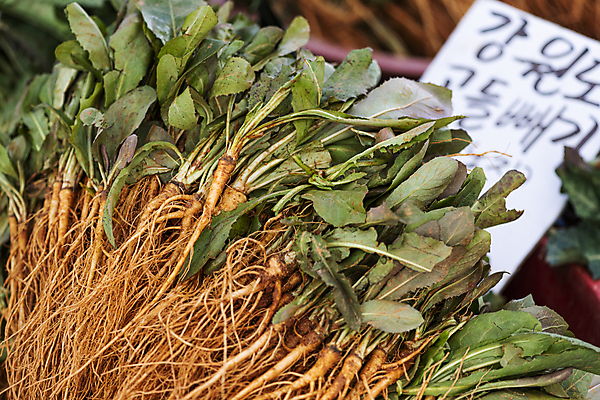 포토 JPG 주간 식재료 풍경 사람없음 야외 아웃포커스 전시 가득함 재래시장 고들빼기 오일장 전통시장 모란시장 국내포토 자연요소 전통 촬영기법 시장 나물 파일형식