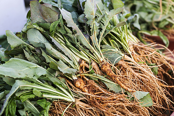 포토 JPG 주간 식재료 풍경 사람없음 야외 아웃포커스 전시 가득함 재래시장 고들빼기 오일장 전통시장 모란시장 국내포토 자연요소 전통 촬영기법 시장 나물 파일형식