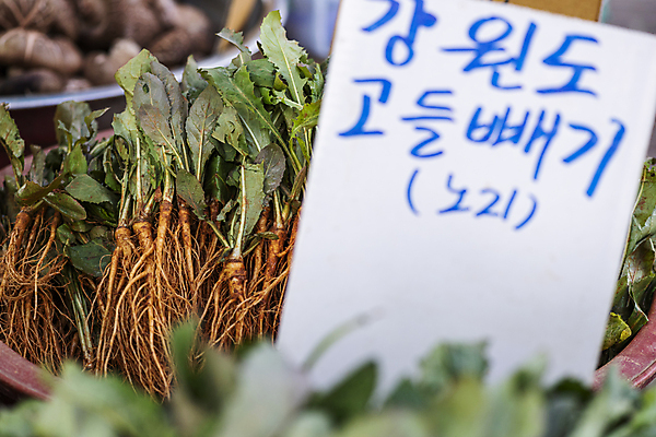 포토 JPG 주간 식재료 풍경 사람없음 야외 바구니 전시 팻말 소프트포커스 가득함 담기 재래시장 고들빼기 오일장 전통시장 모란시장 국내포토 자연요소 전통 모션 프레임 촬영기법 시장 나물 파일형식