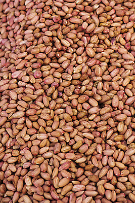 포토 JPG 주간 식재료 풍경 사람없음 야외 갈색 가득함 땅콩 재래시장 오일장 전통시장 많음 모란시장 국내포토 자연요소 전통 컬러 컨셉 견과류 시장 파일형식