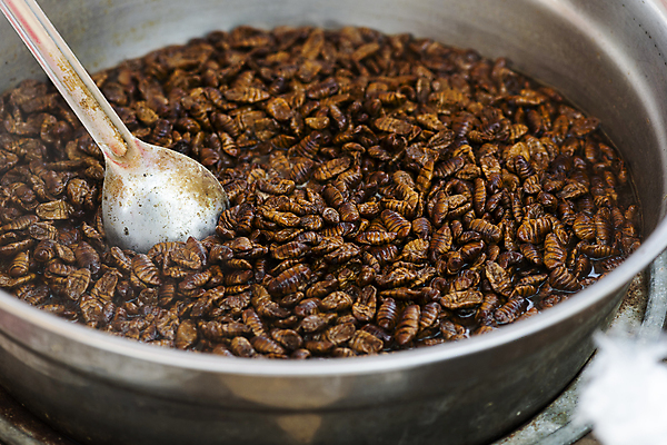 포토 JPG 주간 풍경 사람없음 야외 가득함 담기 주걱 재래시장 대야 길거리음식 번데기 오일장 전통시장 모란시장 국내포토 자연요소 전통 음식 모션 주방용품 시장 파일형식