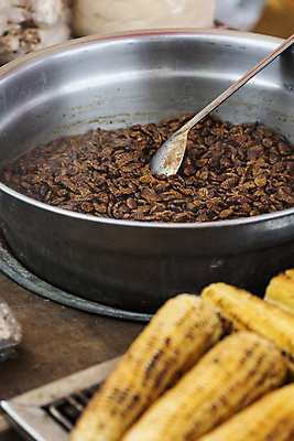 포토 JPG 주간 옥수수 풍경 사람없음 야외 소프트포커스 가득함 담기 주걱 재래시장 대야 구운옥수수 길거리음식 번데기 오일장 옥수수구이 전통시장 모란시장 국내포토 자연요소 전통 음식 모션 주방용품 곡류 촬영기법 시장 구이 파일형식