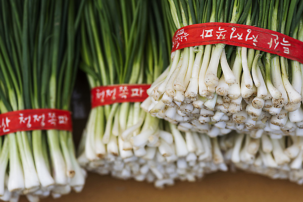 포토 JPG 주간 식재료 풍경 사람없음 야외 쌓기 다발 묶기 재래시장 쪽파 오일장 전통시장 모란시장 국내포토 자연요소 전통 모션 시장 파 파일형식