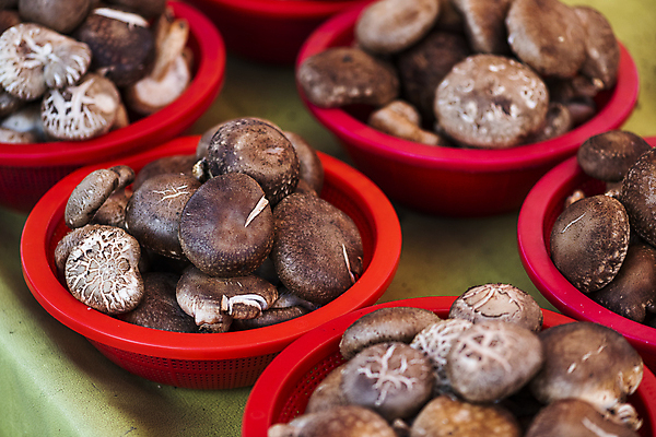 포토 JPG 주간 식재료 풍경 사람없음 야외 바구니 전시 가득함 담기 재래시장 표고버섯 가판대 오일장 전통시장 모란시장 국내포토 자연요소 전통 모션 버섯 시장 파일형식