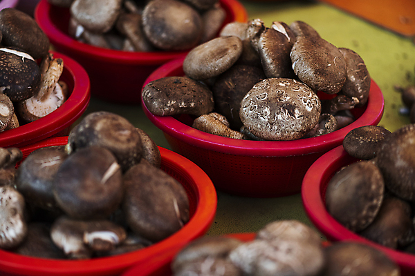 포토 JPG 주간 식재료 풍경 사람없음 야외 바구니 전시 가득함 담기 재래시장 표고버섯 가판대 오일장 전통시장 모란시장 국내포토 자연요소 전통 모션 버섯 시장 파일형식