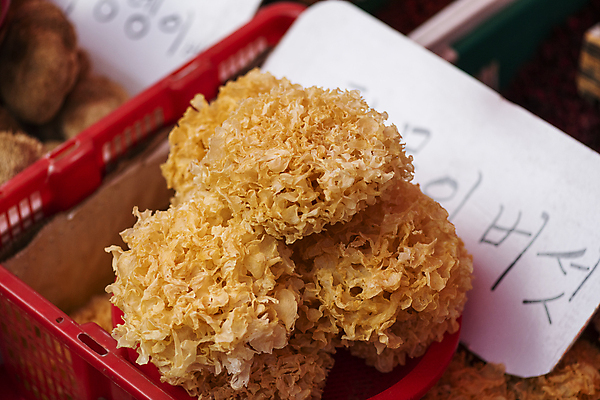 포토 JPG 주간 식재료 풍경 사람없음 야외 쌓기 바구니 팻말 담기 재래시장 목이버섯 오일장 전통시장 모란시장 국내포토 자연요소 전통 모션 프레임 버섯 시장 파일형식