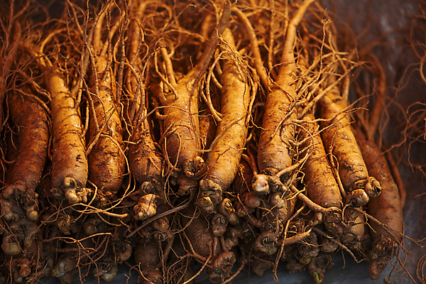 포토 JPG 주간 풍경 사람없음 야외 쌓기 약재 인삼 가득함 재래시장 건강식품 오일장 전통시장 모란시장 국내포토 자연요소 전통 음식 모션 건강 약 삼 시장 파일형식