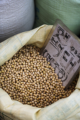 포토 JPG 주간 식재료 콩 풍경 사람없음 야외 팻말 가득함 담기 재래시장 포대 메주콩 백태 오일장 전통시장 포대자루 모란시장 국내포토 자연요소 전통 모션 곡류 프레임 시장 자루 파일형식