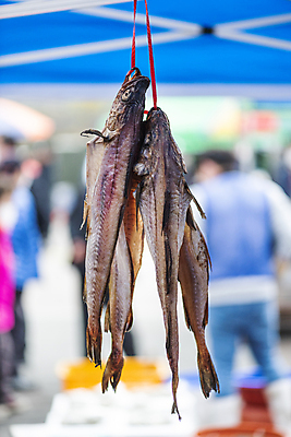 포토 JPG 주간 식재료 매달리기 어류 풍경 사람없음 야외 아웃포커스 끈 천막 재래시장 노점 건어물 오일장 전통시장 모란시장 국내포토 자연요소 전통 모션 촬영기법 상점 수중동물 시장 파일형식
