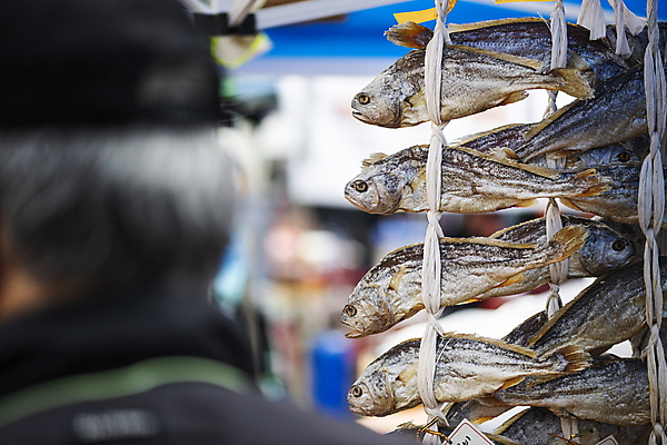 포토 JPG 주간 식재료 매달리기 한명 풍경 상반신 성인 야외 뒷모습 아웃포커스 끈 소프트포커스 재래시장 굴비 두름 오일장 전통시장 성인한명만 모란시장 국내포토 자연요소 1 전통 뷰포인트 모션 촬영기법 어류 사람 시장 성인만 파일형식