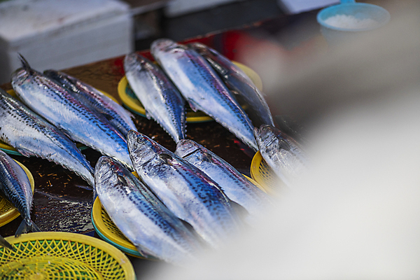 포토 JPG 주간 식재료 어류 풍경 사람없음 야외 바구니 전시 소프트포커스 담기 재래시장 가판대 삼치 오일장 전통시장 모란시장 국내포토 자연요소 전통 모션 촬영기법 수중동물 시장 파일형식