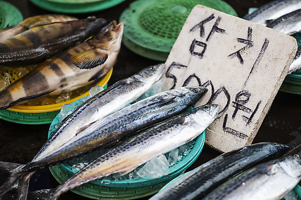 포토 JPG 주간 식재료 어류 풍경 사람없음 야외 바구니 얼음 전시 팻말 담기 가격표 재래시장 가판대 삼치 오일장 전통시장 모란시장 국내포토 자연요소 전통 모션 프레임 수중동물 시장 파일형식