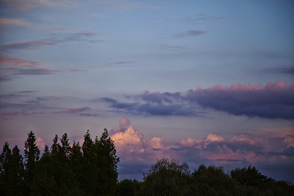 포토 JPG 나무 구름 하늘 서울 풍경 사람없음 야외 일몰 야간 감성 국내포토 자연요소 식물 컨셉 한국 노을 파일형식