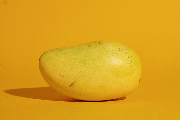 포토 JPG 실내 그림자 사람없음 한개 신선 열대과일 망고 노란배경 국내포토 1 백그라운드 과일 내부 노란색 파일형식
