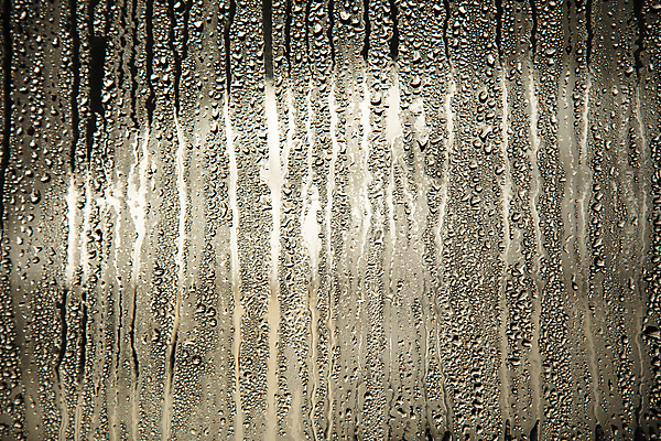 포토 JPG 실내 사람없음 갈색 촉촉함 물방울 비 빗방울 빗줄기 국내포토 자연요소 컬러 날씨 내부 젖음 비_날씨 파일형식