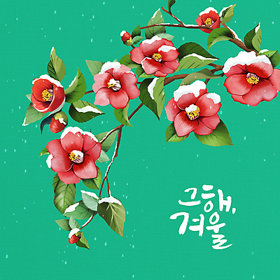 PSD 잎 일러스트 글자캘리그라피 사람없음 초록색 나뭇가지 눈 꽃봉오리 겨울꽃 동백 동백나무 눈내림 국내일러스트 자연요소 나무 식물 꽃 컬러 겨울 캘리그라피 날씨 눈_날씨 파일형식