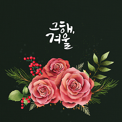 PSD 열매 잎 겨울 일러스트 글자캘리그라피 사람없음 빛 장미 검은색 솔잎 국내일러스트 식물 계절 꽃 컬러 캘리그라피 파일형식