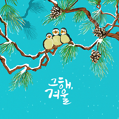 PSD 하늘색 겨울 일러스트 조류 휴식 세마리 앉기 글자캘리그라피 사람없음 나뭇가지 눈 소나무 솔방울 솔잎 눈내림 국내일러스트 자연요소 나무 동물 계절 컨셉 잎 캘리그라피 모션 날씨 눈_날씨 3 파란색 파일형식