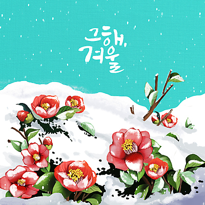 PSD 하늘색 잎 일러스트 글자캘리그라피 사람없음 나뭇가지 눈 꽃봉오리 겨울꽃 동백 동백나무 눈내림 눈덮임 국내일러스트 자연요소 나무 식물 꽃 컨셉 겨울 캘리그라피 날씨 눈_날씨 파란색 파일형식