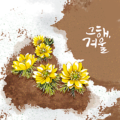 PSD 일러스트 글자캘리그라피 사람없음 갈색 흙 눈 개화 땅 겨울꽃 복수초 복수초꽃 쌓인눈 국내일러스트 자연요소 꽃 컬러 겨울 캘리그라피 날씨 파일형식