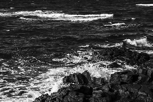 포토 JPG 주간 파도 바다 흑백 풍경 사람없음 야외 제주도 가을 바위 애월해수욕장 국내포토 자연요소 계절 한국 촬영기법 돌_바위 해수욕장 파일형식