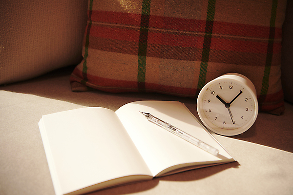 포토 JPG 쿠션 새해 실내 사람없음 소파 햇빛 펜 다이어리 목표 계획 오브젝트 탁상시계 국내포토 시계 컨셉 의자 내부 태양 필기구 사무용품 파일형식