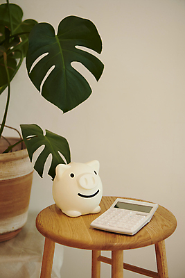 포토 식물 교육 컨셉 탁자 문구용품 내부 금융 경제 장비 저금통 파일형식 자산관리 나무탁자 원형탁자 저축 돼지저금통 계산기 화분 몬스테라 목표 JPG 계획 경제교육 사람없음 실내 오브젝트 새해 국내포토