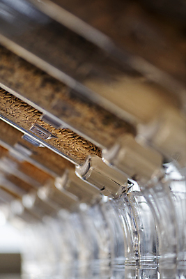 포토 JPG 곡류 실내 통 사람없음 아웃포커스 자연보호 재활용 견과류 용기 소프트포커스 친환경 리필 제로웨이스트 그린슈머 제로웨이스트샵 국내포토 그릇 자연 촬영기법 내부 환경 상점 그린캠페인 보호 사회이슈 파일형식