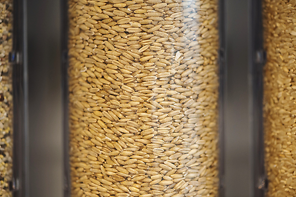 포토 JPG 실내 통 근접촬영 사람없음 자연보호 재활용 용기 친환경 리필 제로웨이스트 귀리 그린슈머 제로웨이스트샵 국내포토 그릇 뷰포인트 자연 곡류 내부 환경 상점 그린캠페인 보호 사회이슈 파일형식