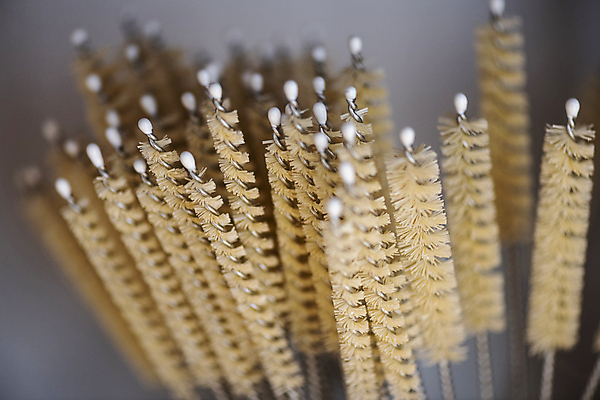 포토 JPG 회색배경 실내 사람없음 아웃포커스 자연보호 재활용 솔 친환경 담기 청소용솔 제로웨이스트 그린슈머 제로웨이스트샵 국내포토 백그라운드 모션 자연 촬영기법 내부 환경 상점 그린캠페인 회색 보호 청소도구 사회이슈 파일형식