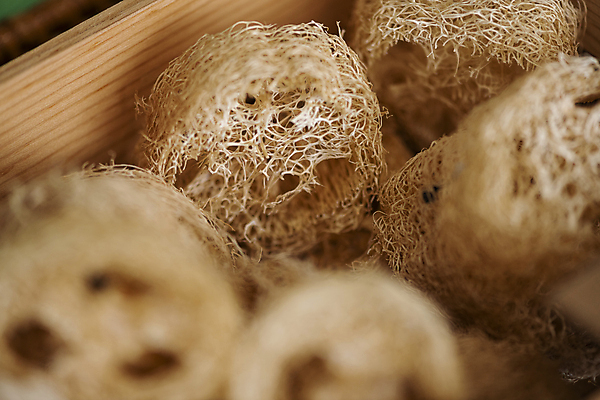 포토 JPG 실내 사람없음 자연보호 재활용 소프트포커스 나무상자 가득함 친환경 담기 천연 수세미 제로웨이스트 그린슈머 제로웨이스트샵 국내포토 모션 자연 촬영기법 내부 상자 환경 상점 그린캠페인 보호 사회이슈 파일형식