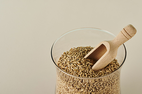 포토 JPG 스튜디오촬영 유리병 실내 근접촬영 사람없음 자연보호 재활용 친환경 담기 스쿱 갈색배경 제로웨이스트 귀리 그린슈머 국내포토 뷰포인트 백그라운드 모션 자연 병_용기 곡류 내부 갈색 환경 그린캠페인 보호 사회이슈 파일형식