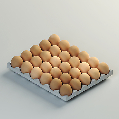 PSD 편집 편집이미지 사람없음 3D 계란 회색 가득함 디지털합성 계란판 편집소스 편집3D 컬러 알 파일형식