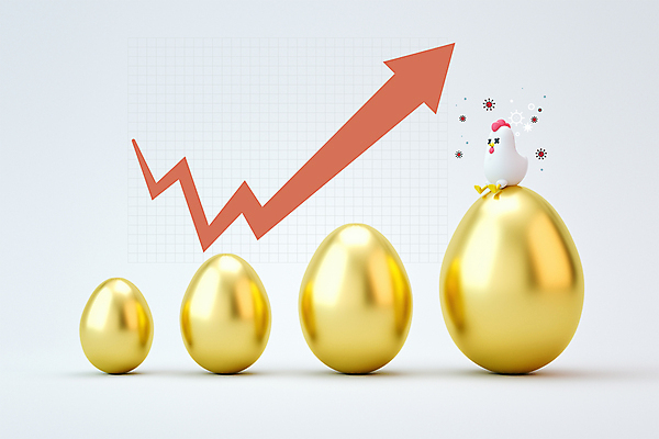 PSD 편집 편집이미지 한마리 화살표 동물캐릭터 3D캐릭터 사람없음 3D 흰색 닭 사회이슈 디지털합성 황금알 조류독감 폭등 편집소스 조류인플루엔자 편집3D 동물 캐릭터 1 컬러 컨셉 조류 알 상승 전염병 파일형식