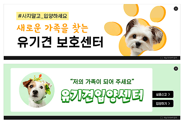 PSD 템플릿 배너 ZIP 반려견 웹템플릿 두마리 사람없음 연두색 노란색 센터 강아지 보호 개발바닥 애견센터 유기견 이벤트배너 입양 웹배너 해시태그 빅배너 믹스견 파슨러셀테리어 이미지템플릿 컬러 컨셉 2 초록색 반려동물 개 테리어 발바닥 특수문자 파일형식 유기동물