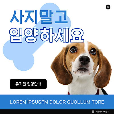 PSD 템플릿 한마리 ZIP 반려견 웹템플릿 팝업 이벤트팝업 웹팝업 사람없음 파란색 강아지 비글 개뼈다귀 유기견 입양 빅팝업 이미지템플릿 1 컬러 반려동물 개 애견간식 파일형식 유기동물